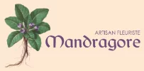 Mandragore : Artisan fleuriste